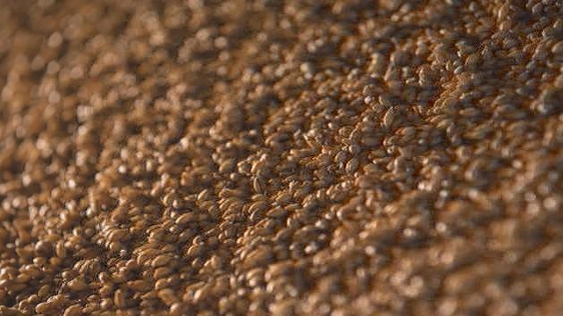 Pavel Shutilo harvested 8.5K tons of grain