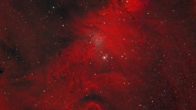 NGC2264: Der Weihnachtsbaum