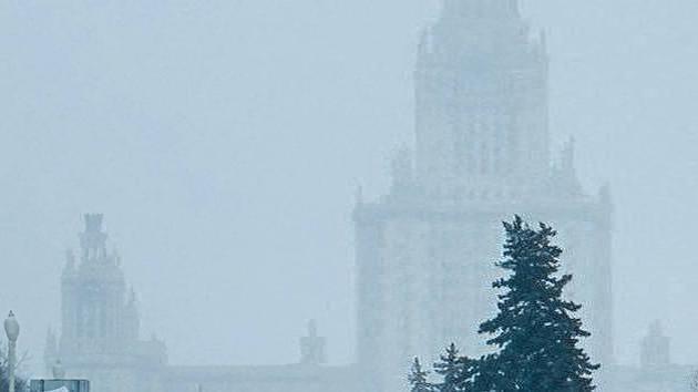 Mosca intrappolata nella neve: nevicata eccezionale