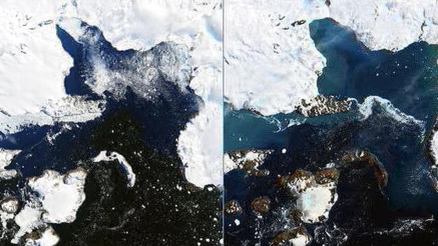 La Antártida podría perder un 20% de hielo para 2100