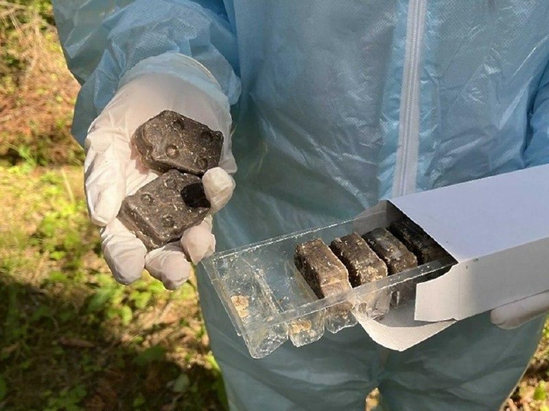 С 1 сентября в Минской области начнут разбрасывать вакцину от бешенства