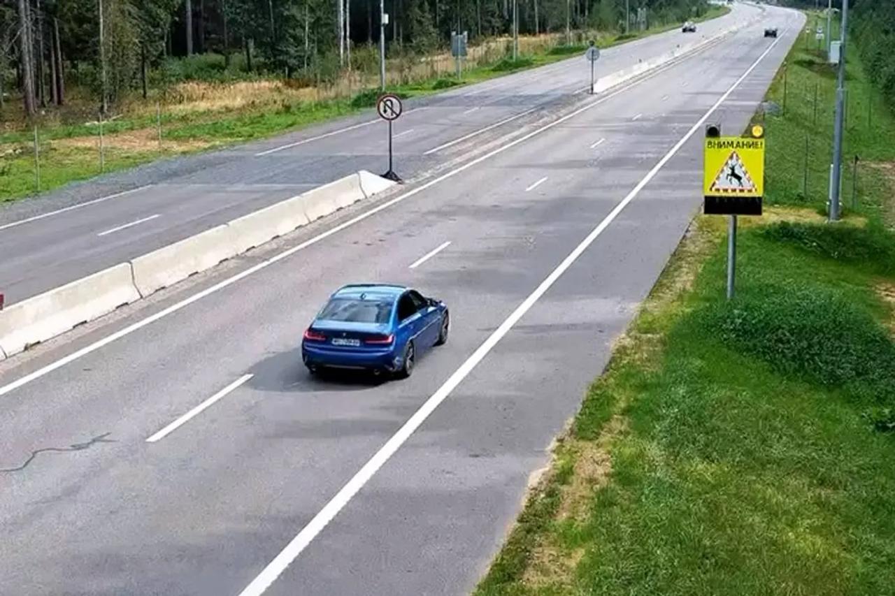 M6 Minsk–Grodno highway gets system to warn drivers about wild animals