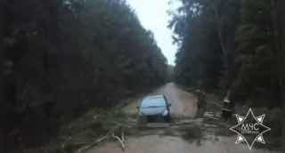 Rescuers in Minsk eliminated consequences of bad weather