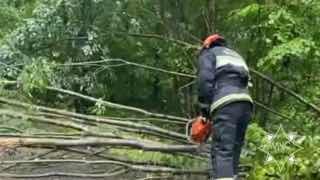 Storm damages cars, billboard, and trees in Minsk