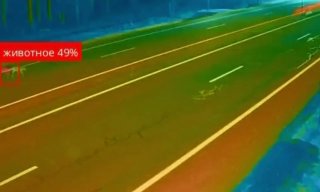 Cameras on M6 near Volozhin learn to detect wild animals