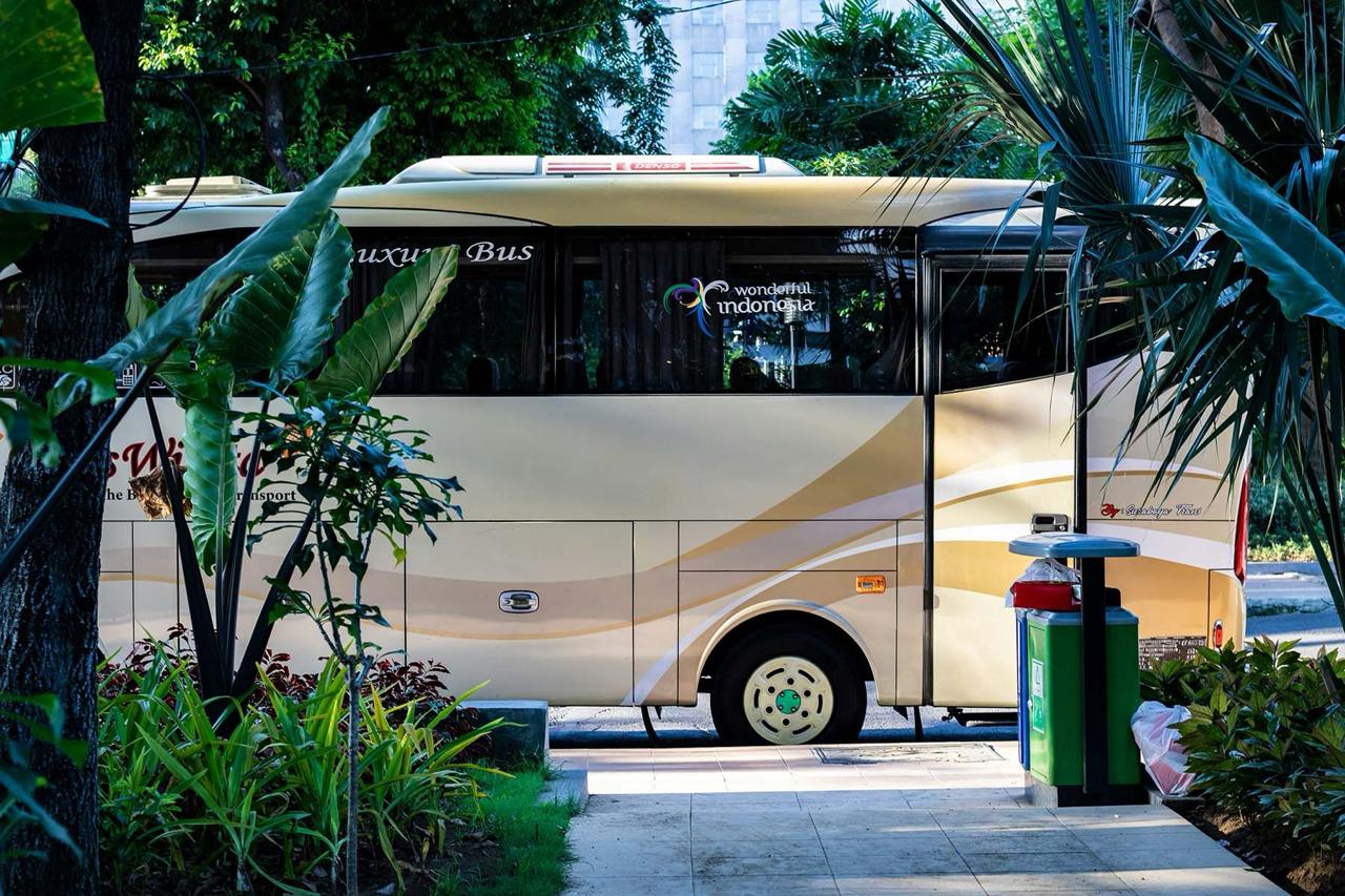 Tour operators reroute buses from Belarus to Georgia, Abkhazia, Dagestan