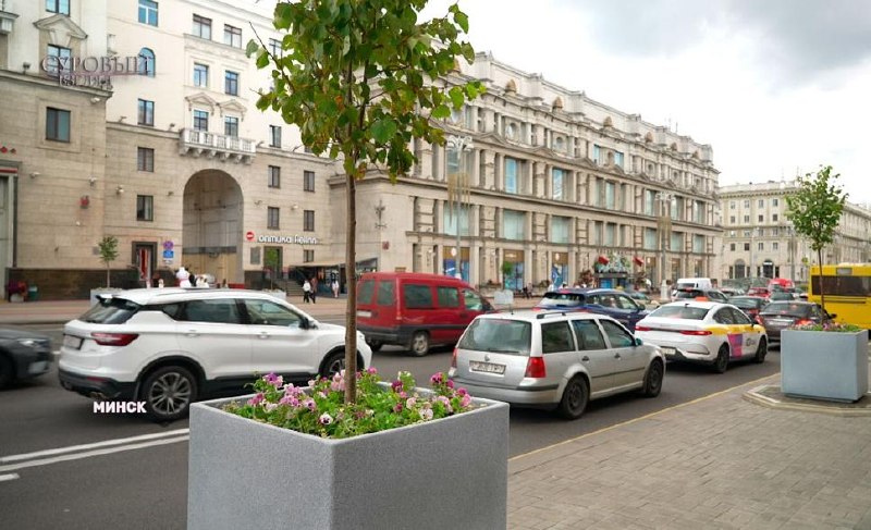 Minsk Mayor Explains Why Trees in Planters Were Installed on Independence Avenue