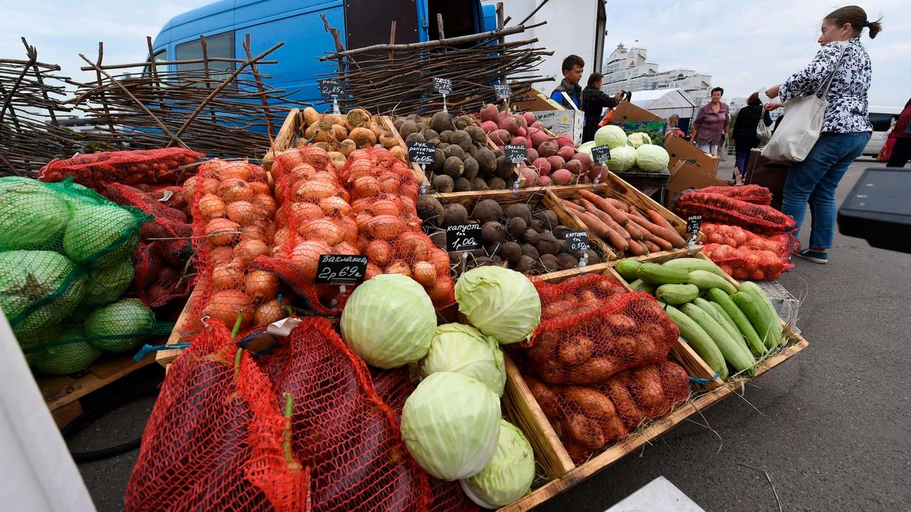 Agricultural markets begin in Minsk on September 14
