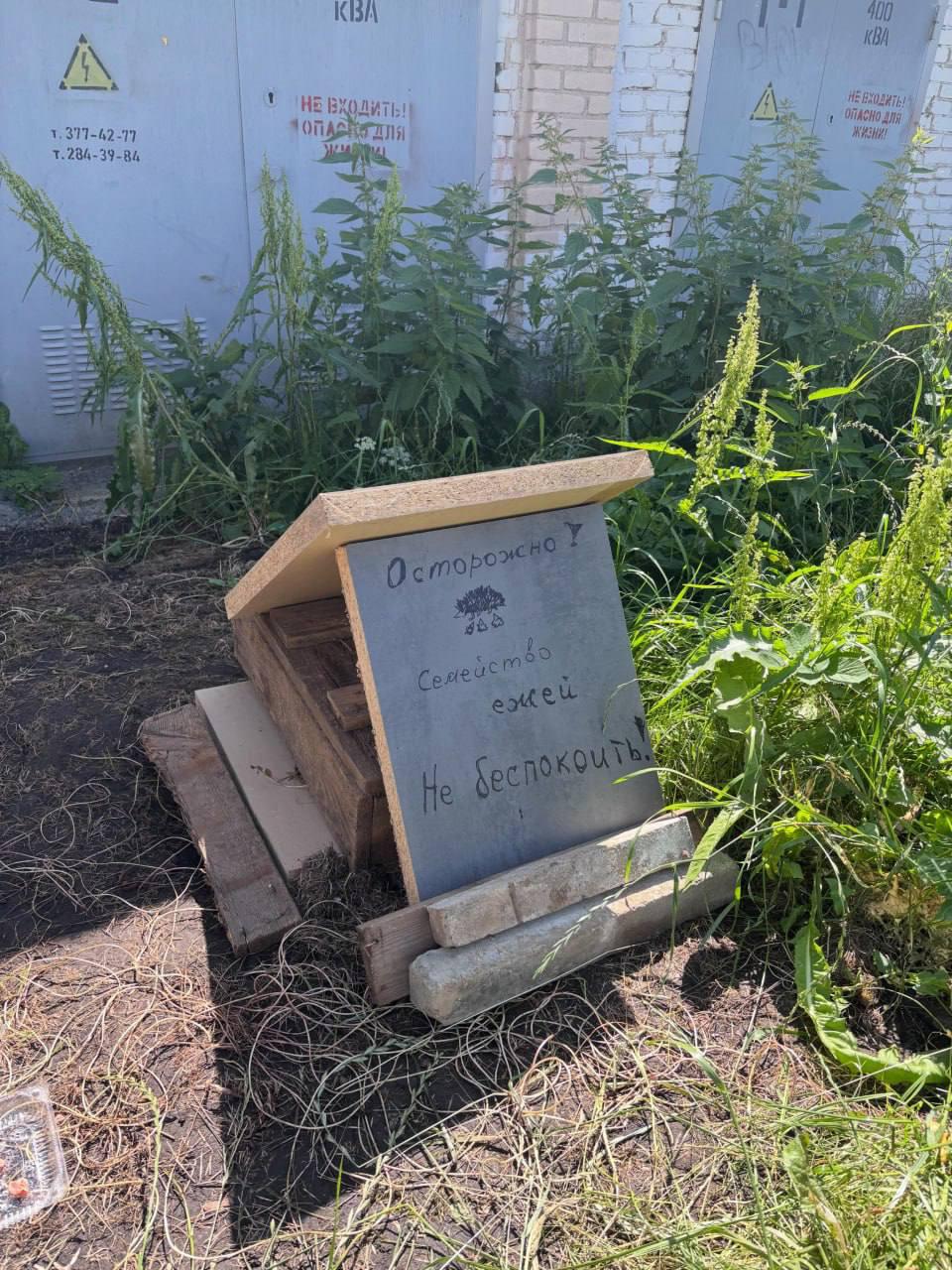 Minsk builders construct a hedgehog house for family living near construction site