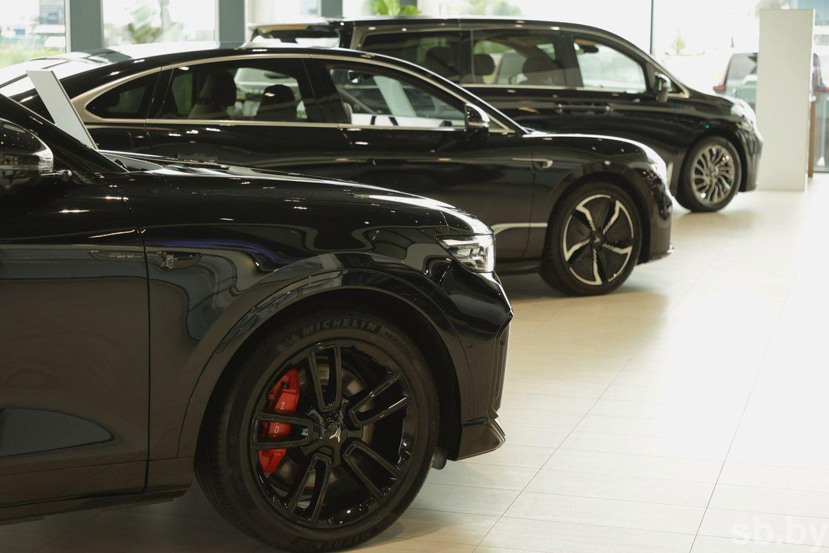 Belarusians set record for electric car purchases — over 20,000 in 8 months