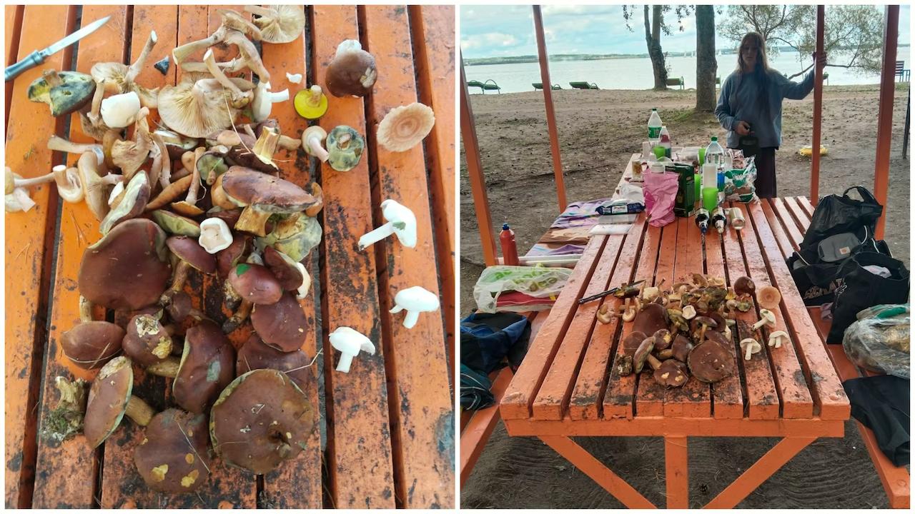 Mushroom season arrives in Minsk — residents gather harvest in city parks