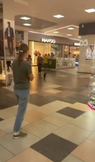 A rooster unexpectedly visits Dana Mall for shopping