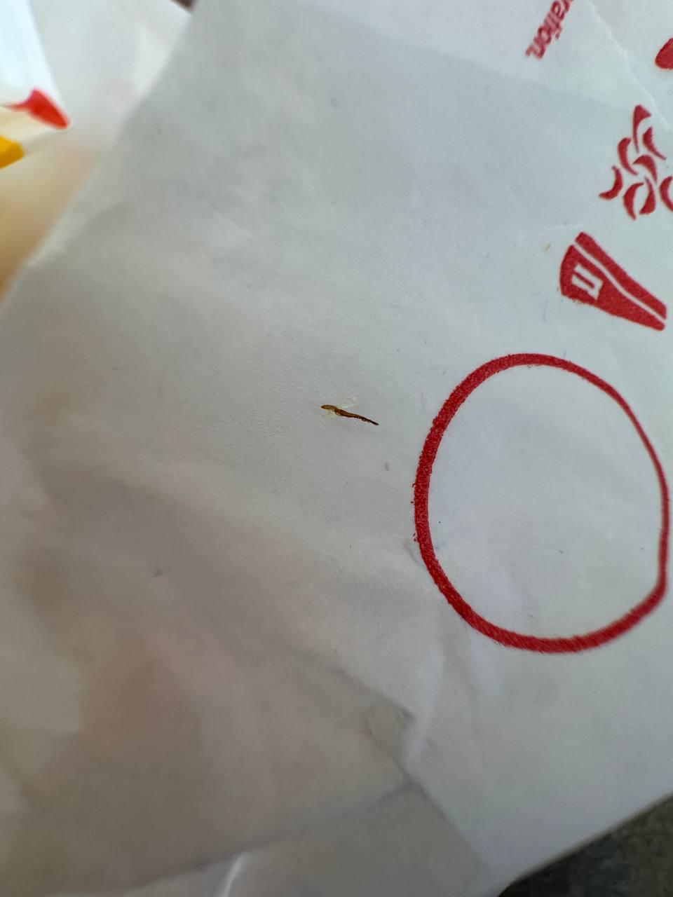 Woman finds suspected cockroach leg in Burger King burger in Minsk