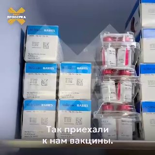 Russians travel to Belarus for pet vaccinations due to high demand for Nobivac