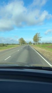In Belarus, a moose was filmed crossing a road, seemingly obeying traffic rules