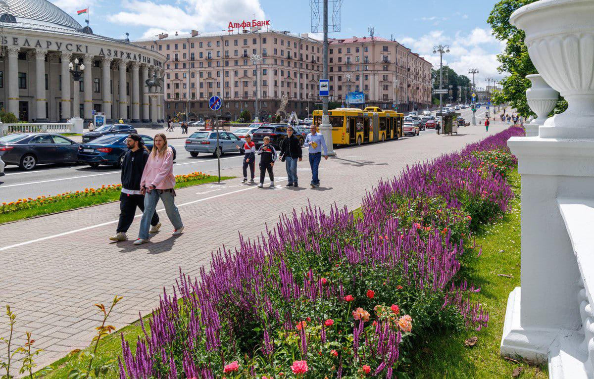 Des photos comme dans des champs de lavande à Minsk