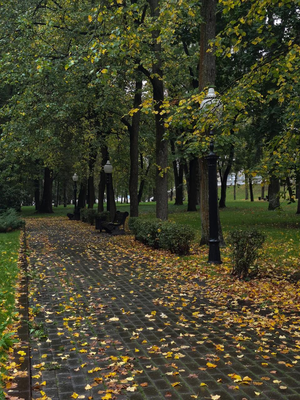 Autumn has beautifully arrived at Yanka Kupala Park