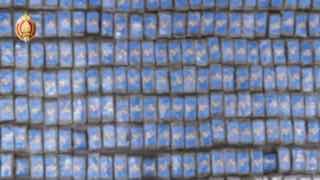 54-year-old man from Minsk region detained at border with 38 kg of hashish