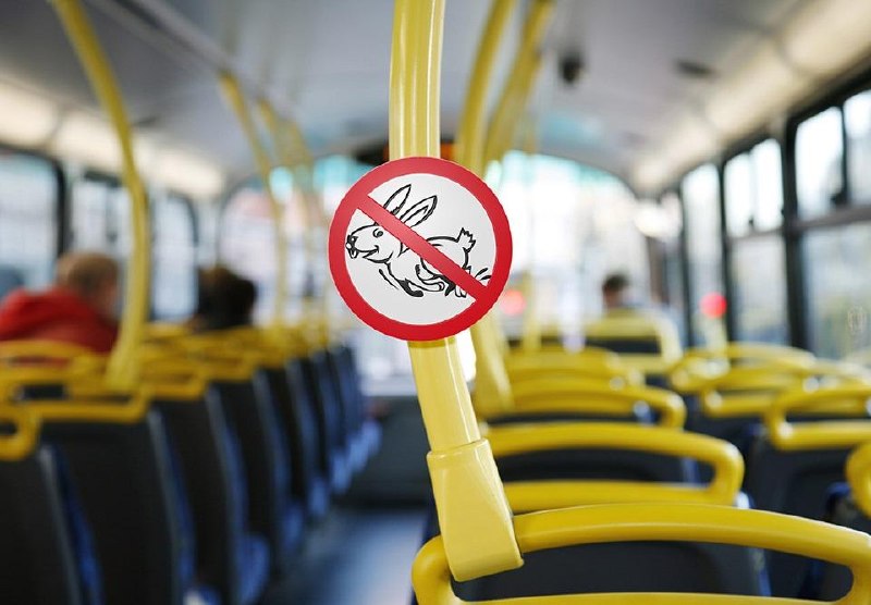 Minsk transport detects 5,000–6,000 fare evaders monthly