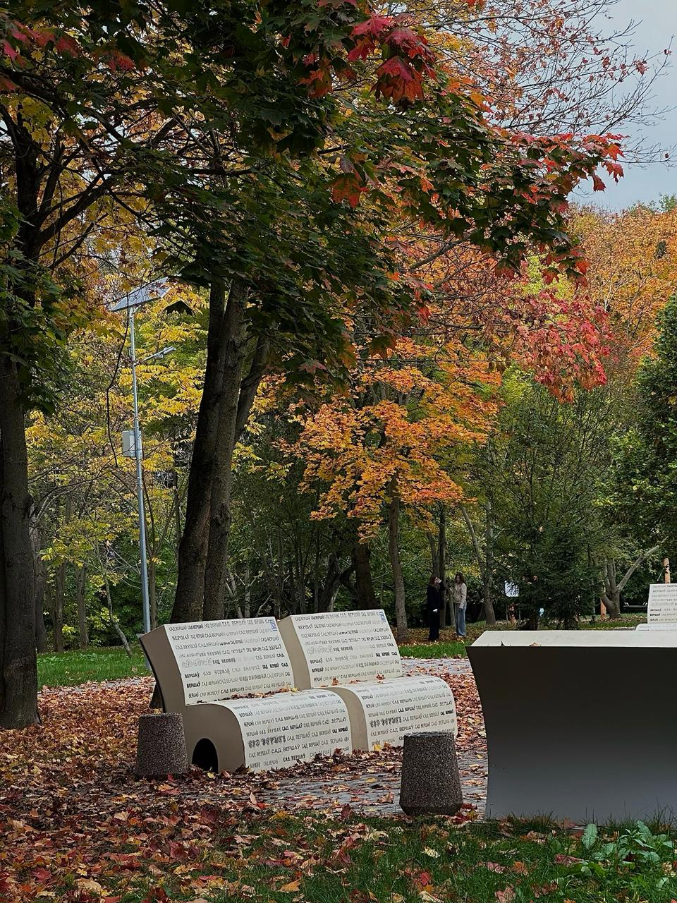 This is how Vershavy Garden looks now — autumn is in full swing here