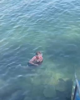 Huge octopus grabs teenager while swimming in Turkey