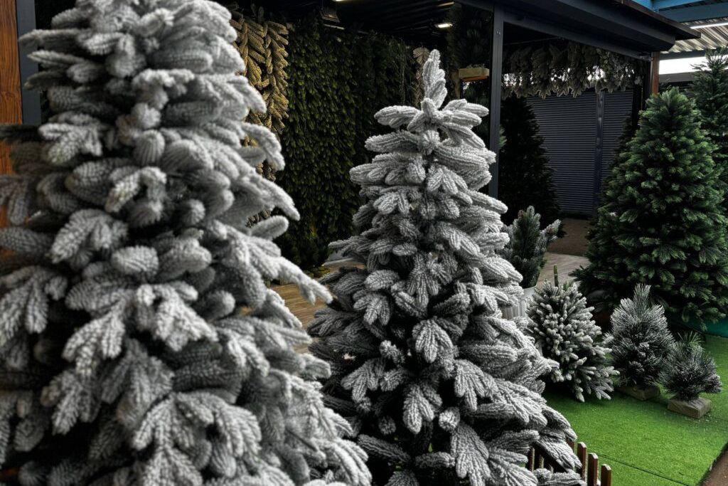 New Year's trees already on sale at 'Expobel' — three months before the holiday