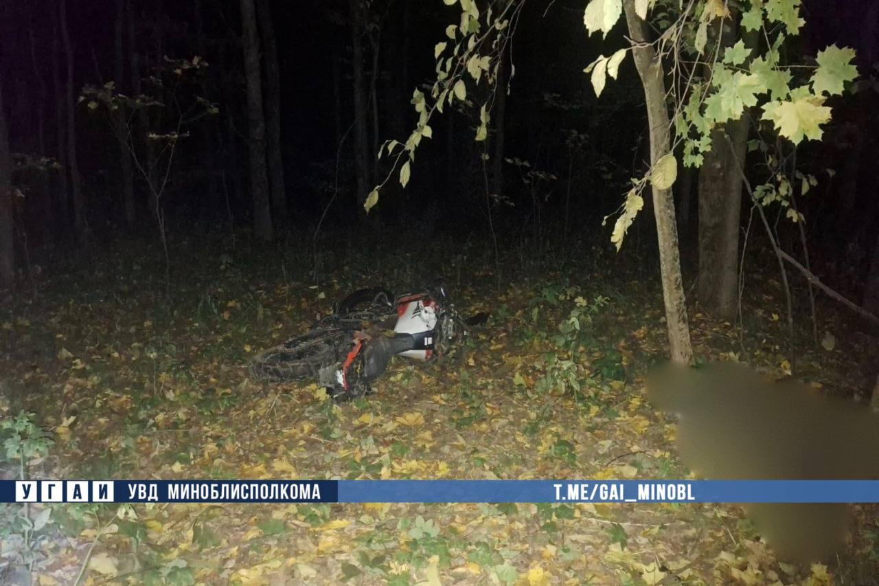 Motorcyclist killed in collision with moose near Minsk