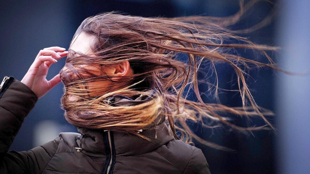 Orange danger level declared in Belarus for Friday due to strong winds