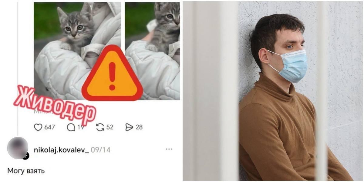 Netizens suspect return of 'Sukharevsky animal abuser' — account under his name inquired about kittens