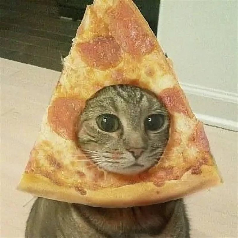 International Pizza and Beer Day is celebrated on October 9