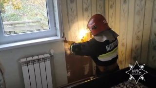 In Kолодищи, parrot rescued after being trapped in wall for two days