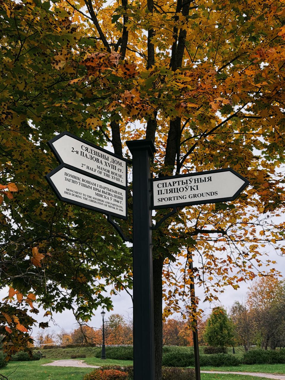 Autumn in Minsk: Loshitsa Park