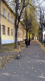A plump squirrel spotted in Osmolovka