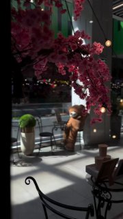 Cafe with bears opens in Minsk