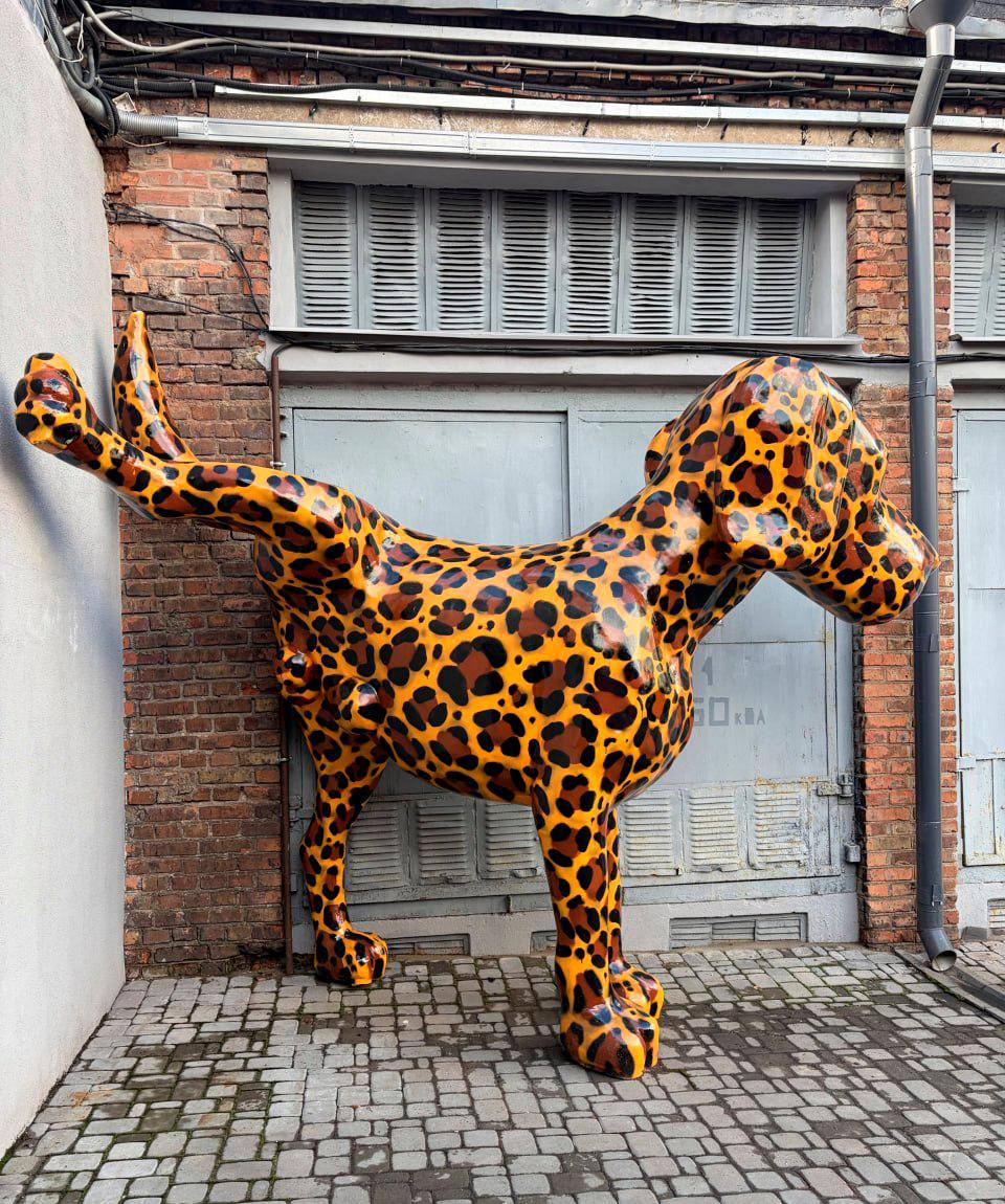 An unusual dog spotted on Oktyabrskaya Street