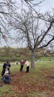 Autumn frenzy in Priluki: queues for photos at the Chapski estate