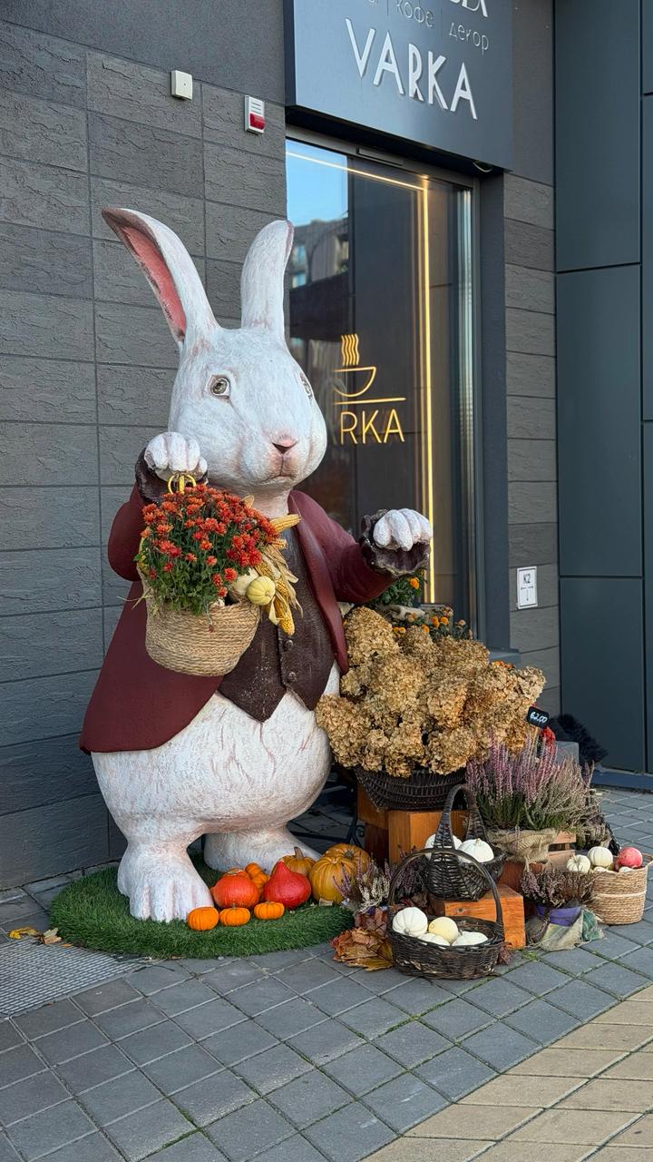Зайца заметили у кофейни Varka в Новой Боровой