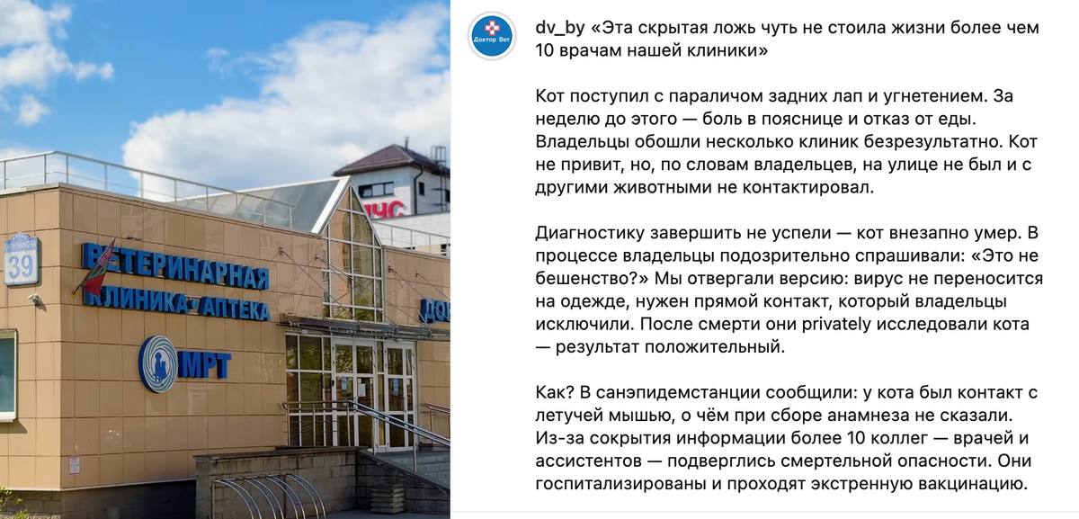 In Minsk, cat brings rabies to vet clinic — over 10 staff vaccinated