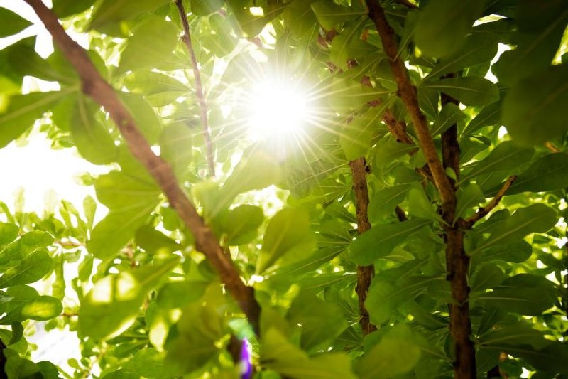 Allerta arancione in Bielorussia il 26 e 27 giugno