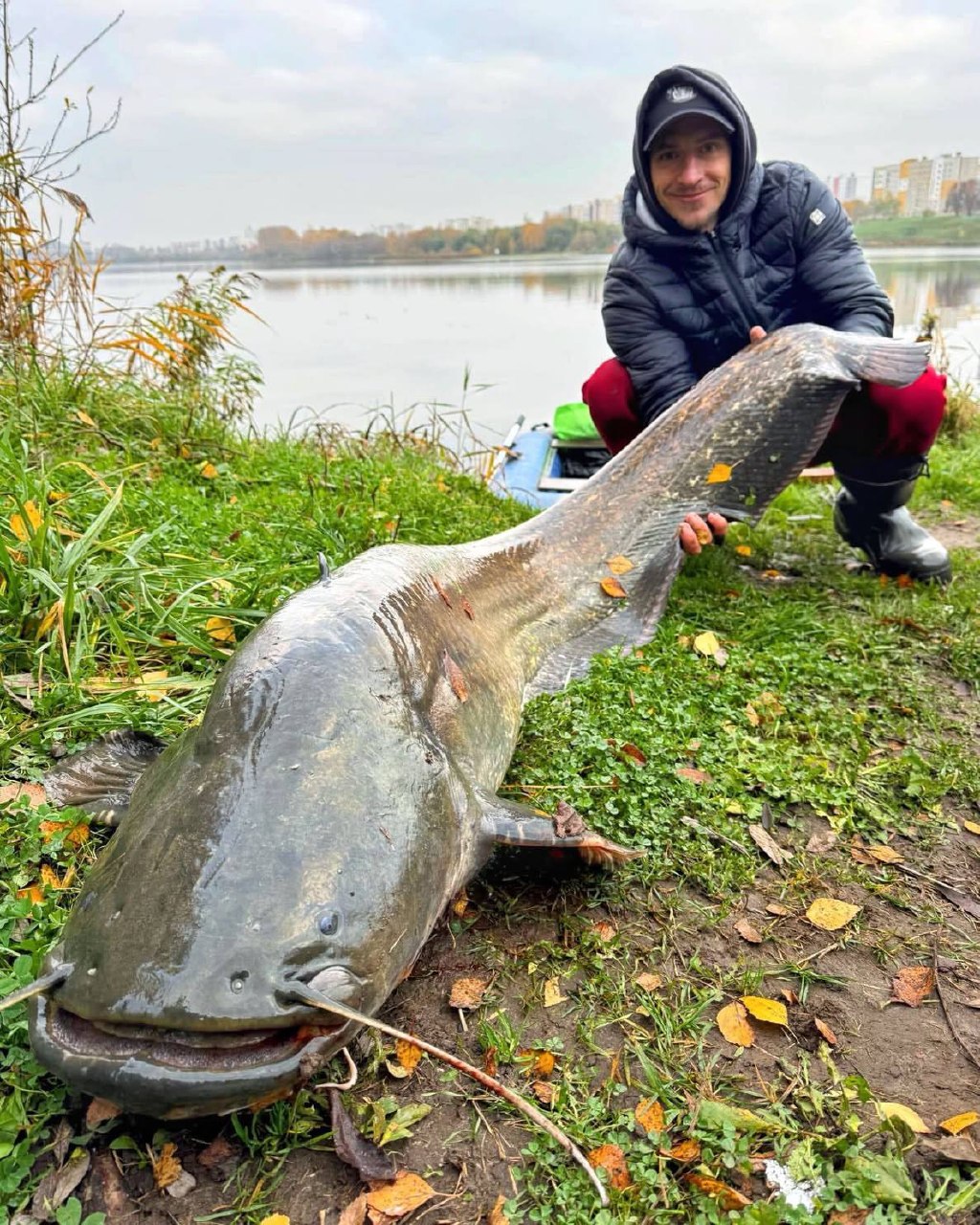 Un silure trophée de plus de 32 kg capturé dans le réservoir de Tchijovskoïe