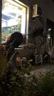 Una araña gigante apareció en Rumyantseva, 17 para Halloween