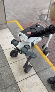 Avistaron un perro robot en el distrito Leninski