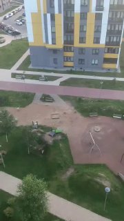 Tres conejos avistados cerca del centro de Minsk