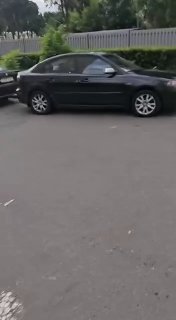 Miškinis kiaunoras pastebėtas prie darželio Gruševkoje