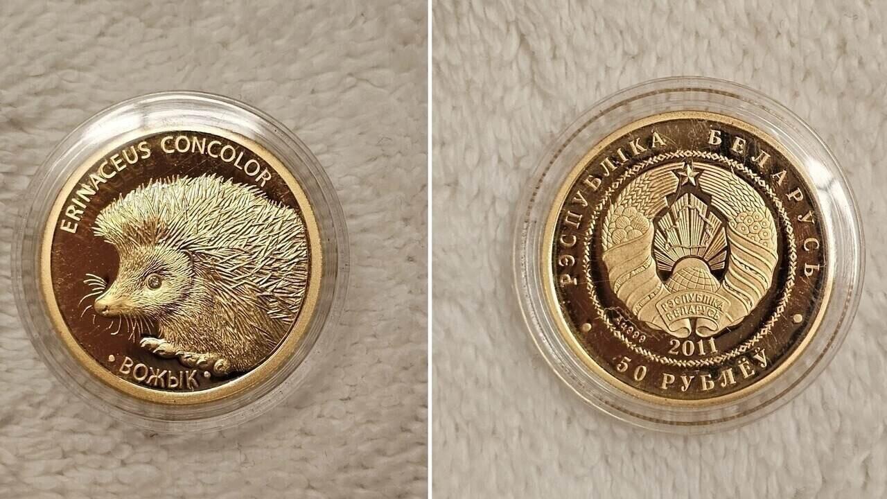 Belarusian 'Vozhyk' coin sold in the US for over $2,000