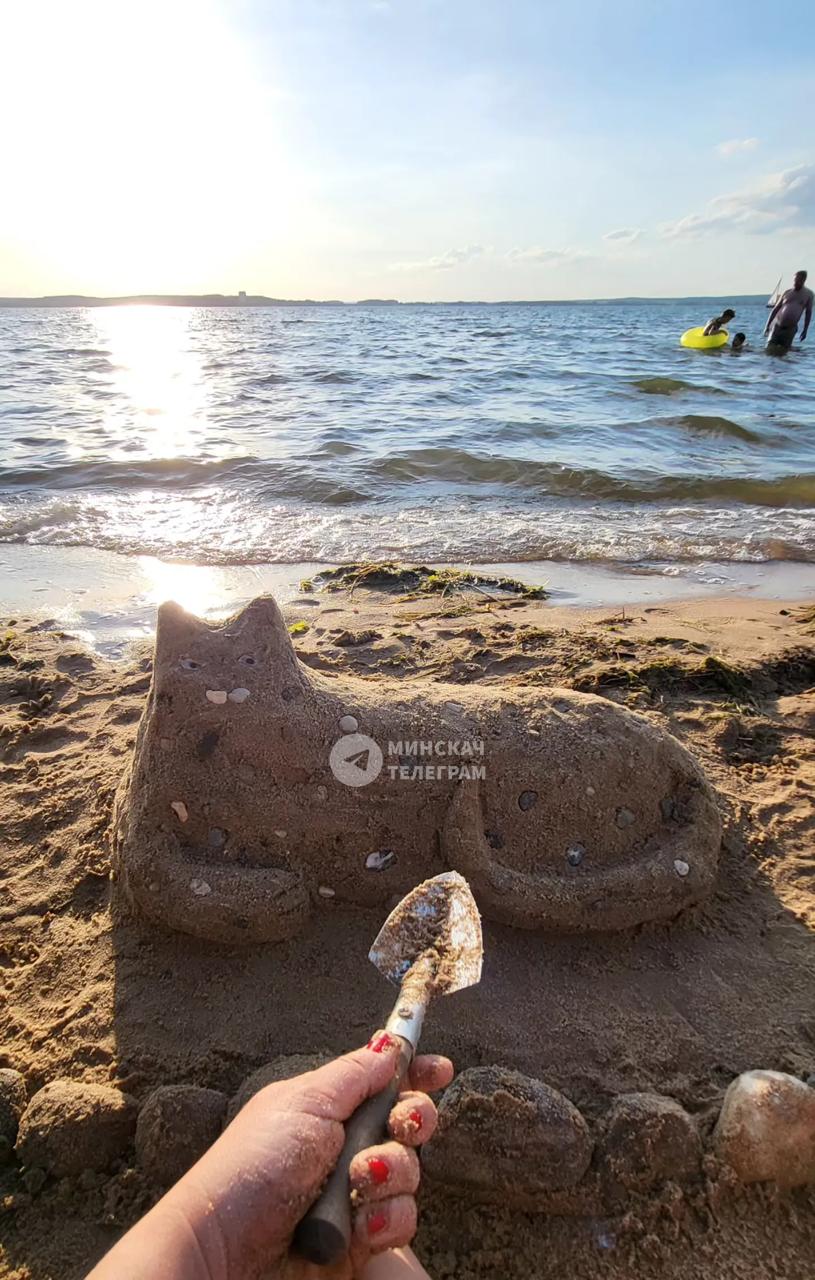 Un gatto dimenticato al Mare di Minsk