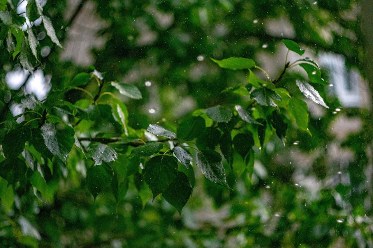Storms and yellow danger level expected in Belarus on Monday, June 15