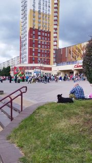 在谢列布良卡，大雨未能阻止居民跳舞