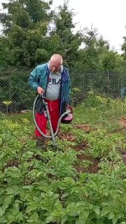 Belarusian man surprises neighbors with vacuum cleaner to fight potato beetles