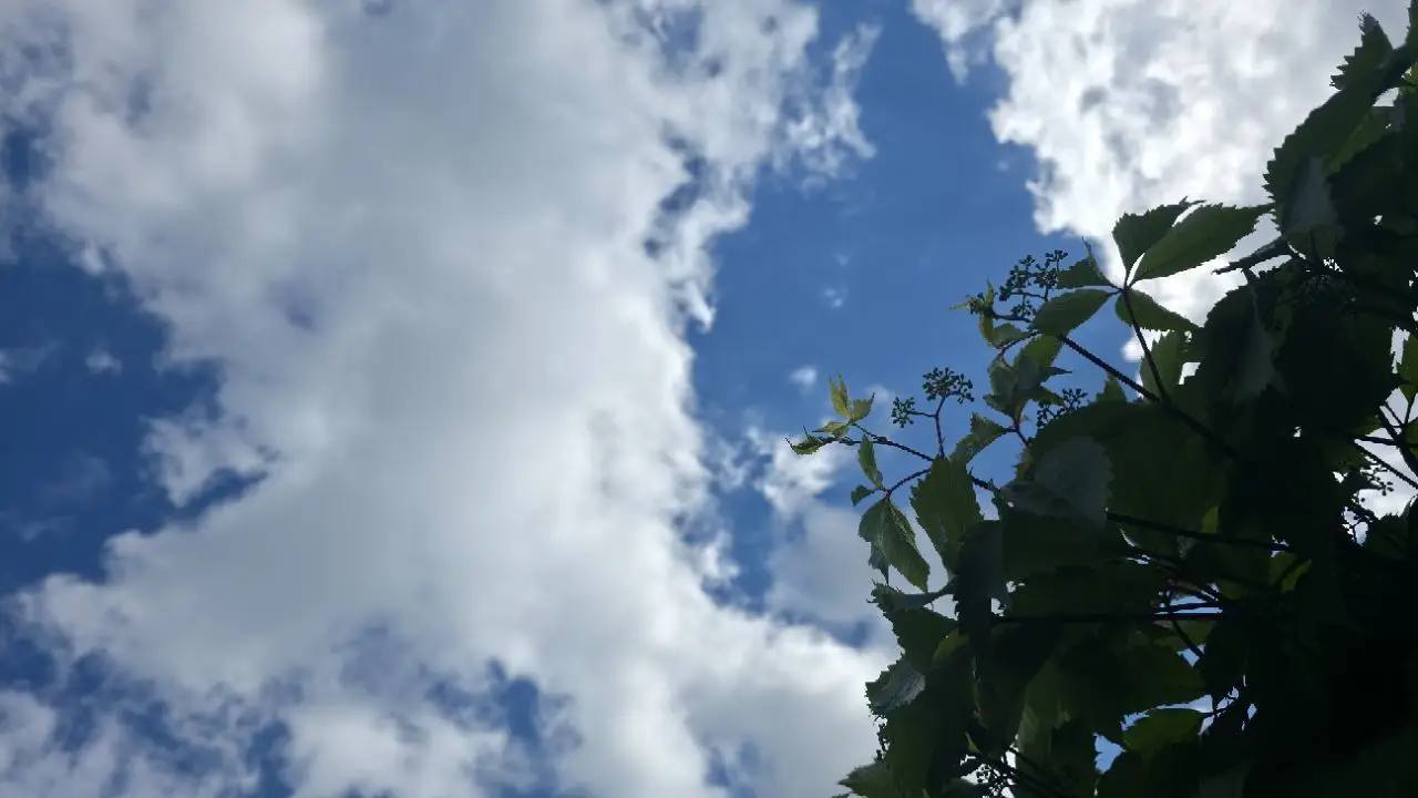La chaleur revient en Biélorussie : l'anticyclone « Loren » remplace les pluies